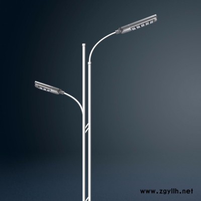 扬州杰耀DLD-001 8米高低臂道路灯杆**  热镀锌烤漆