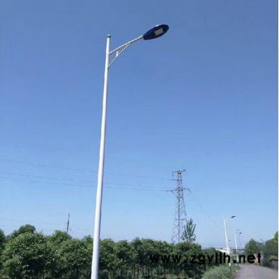 照龙  道路灯 路灯 LED路灯 定制路灯 可按图纸定制路灯