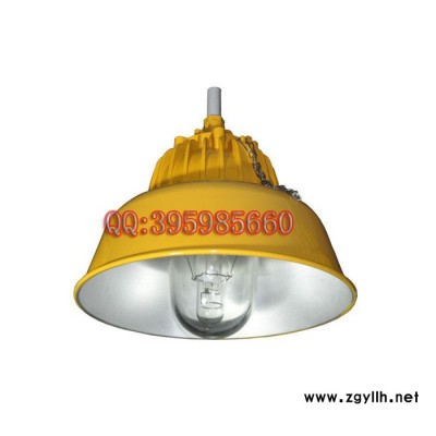 BLC8600防爆道路灯海洋王道路灯石油防爆道路灯BLC华荣