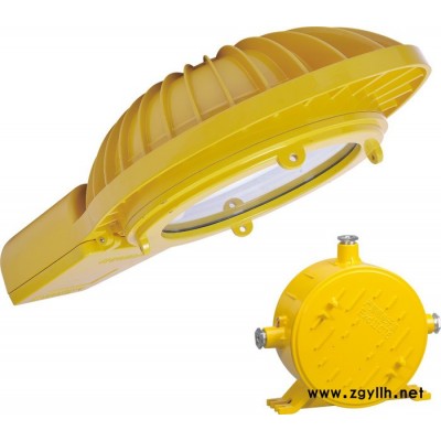 金顿 防爆道路灯