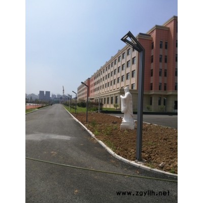 LVJIE/绿节FL-TYD-21 欧式庭院灯  小区庭院灯 LED庭院灯 景观庭院灯