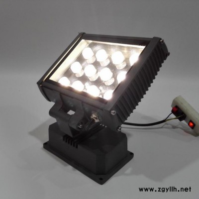 供应户外园林装饰亮化照明 景观照明用亮府LYSD18CW170160S投射灯 园林景观灯 树木亮化照明景观灯 竹林景观灯