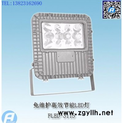 FLED-3119LED道路灯