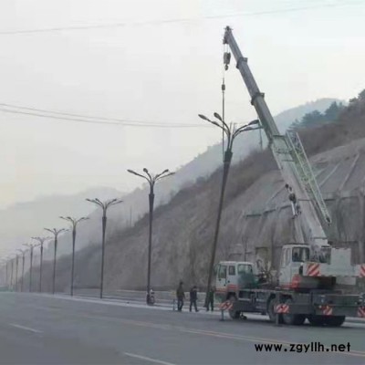 异形灯 景观灯异形灯LED户外灯道路灯单臂仿古路灯，异形路灯杆
