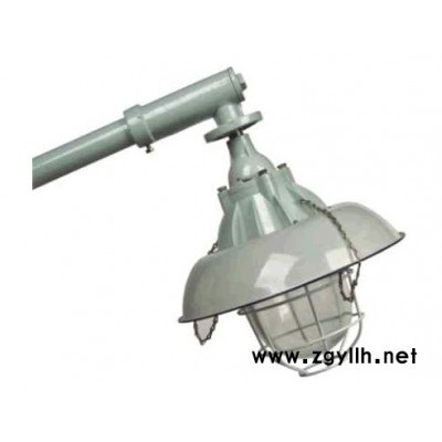 供应防爆道路灯