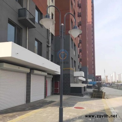 景观庭院灯 LED庭院灯 节能庭院灯 单头庭院灯 小区庭院灯