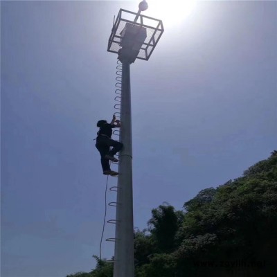 庭院灯灯杆 标志杆_样式齐全