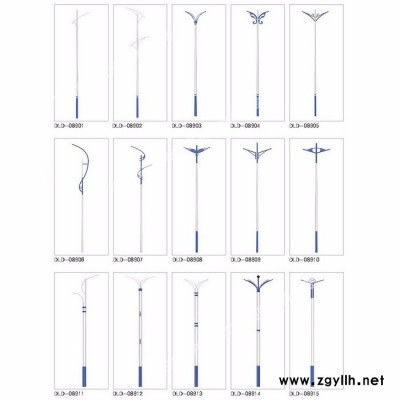 聚珍齐全 河北道路灯