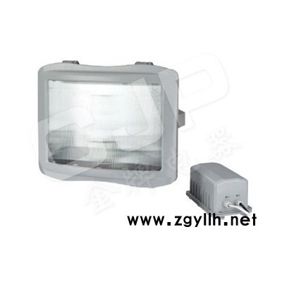 国产防眩通路灯/道路灯