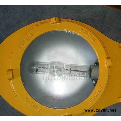 OK海洋王BLC8610防爆道路灯 华荣防爆道路灯