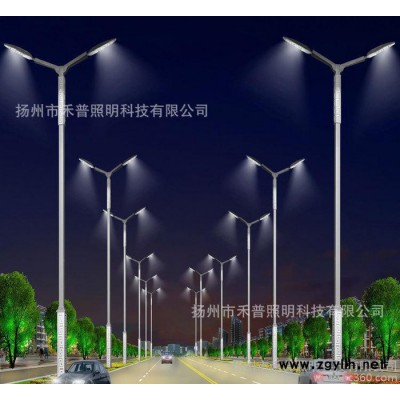 质保15年 杆体热浸镀锌 路灯 led路灯 双臂道路灯12米
