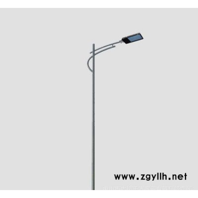 LED路灯  LED庭院灯 庭院灯 不夜天照明 规格种类多 发货快价格优