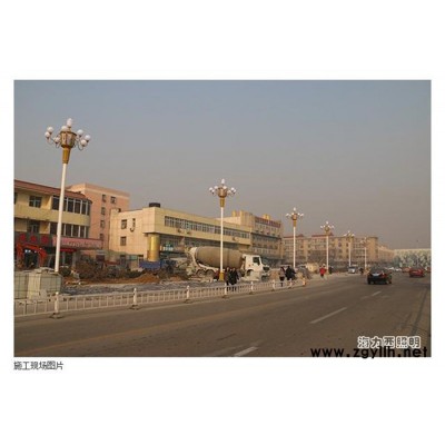 华灯高杆灯户外道路灯小区灯九头LED广场灯景观庭院灯玉兰灯