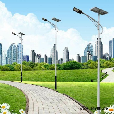 【百色批发道路灯杆】6-12米高度 **