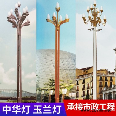 AE照明 定制玉兰 定制玉兰灯景观灯户外 6米8米13米15米广场工程LED中华灯定制
