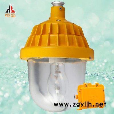 BTC8130防爆道路灯 泛光道路灯 OEM/ODM供货