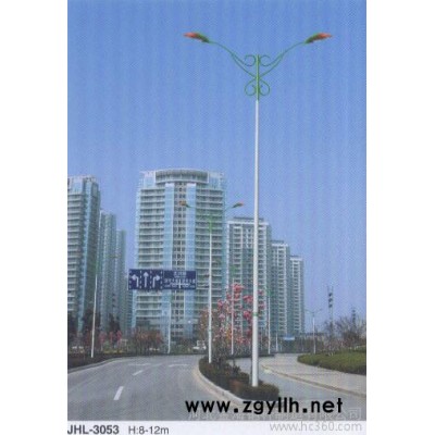 供应金海JHLD-3053道路灯