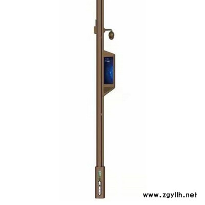 华朗HL-14LED智慧路灯灯杆系列6米8米10米道路灯厂家