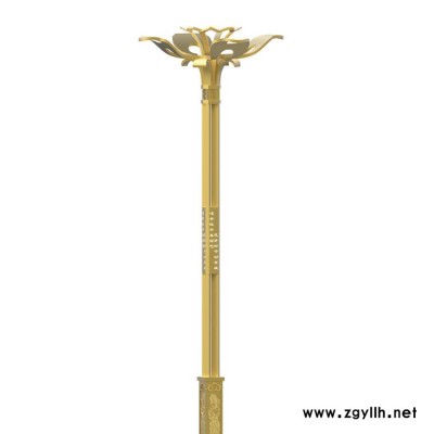 华朗国色天香LED组合灯系列8米10米12米道路灯厂家