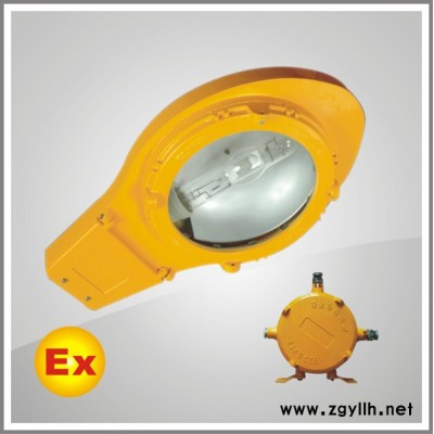 供应海洋王防爆道路灯