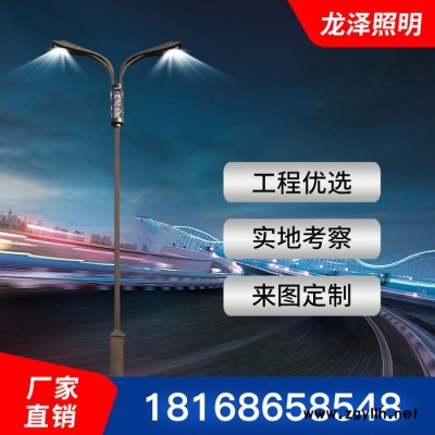 龙泽厂家批发6米30W双臂照明道路灯 新农村市政工程一体化LED路灯