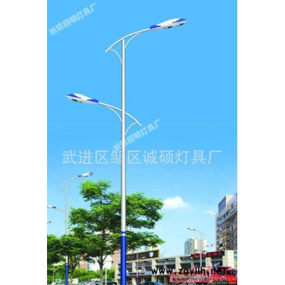 其他dld 093新农村道路灯