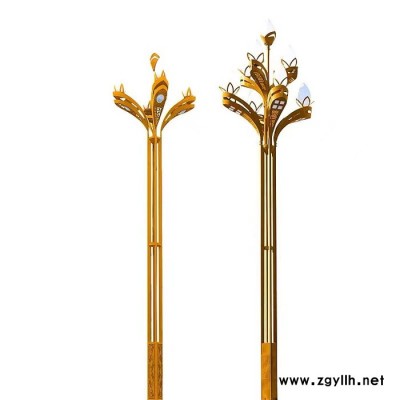 6米庭院灯道路中式景观灯中华灯广场灯LED光源