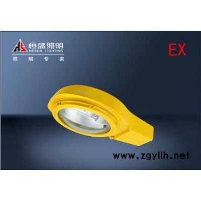 BLC8610防爆道路灯 厂区道路灯-油田平台道路灯具-适用