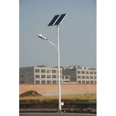 胜隆TYN-00254 成都景观灯