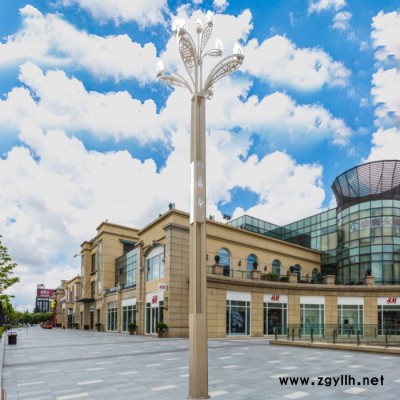 AE照明 景观灯中华灯玉兰灯玉兰灯 厂家定制八叉九火玉兰灯 led玉兰灯 玉兰景观灯