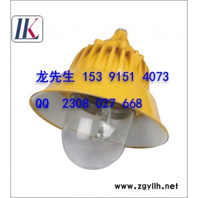 供应雷科防爆道路灯(平台灯)