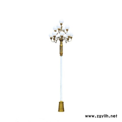 供应定做组合灯 异型灯 景观灯 庭院灯 多种类照明路灯 专业厂家 造型美观做工精细使用寿命长 路灯批发