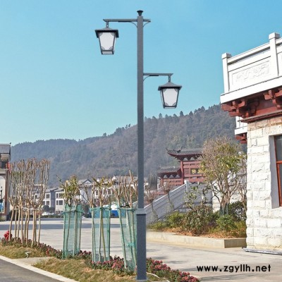 厂家生产中式双头庭院灯 AE照明定制3.5米园林中式高低头庭院灯