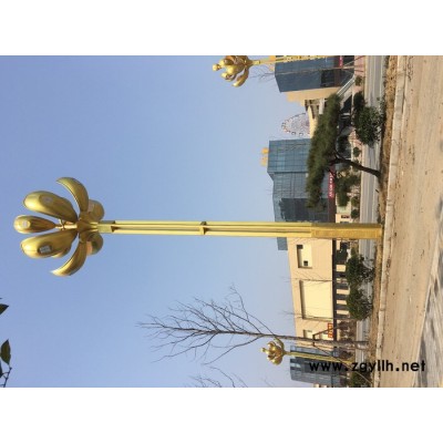 河南天能照明tn 道路灯