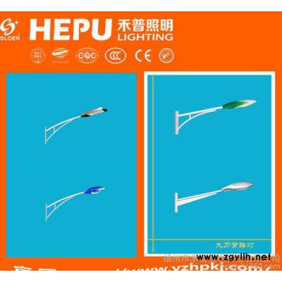 环保LED路灯  单臂路灯40W城市道路灯  折价销售