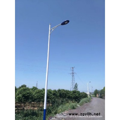 道路灯 路灯 LED路灯 定制路灯 可按图纸定制