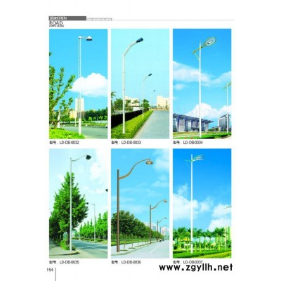 2019中洲DLD 道路照明灯 型号齐全  各式道路灯 **