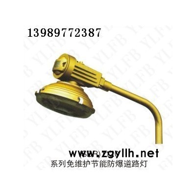 供应耀雷防爆SBR1120免维护节能防爆道路灯/防爆道路灯低价销售/品质保证
