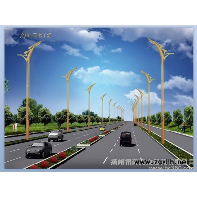 道路灯厂家 专业生产LED节能路灯 交通信号灯 80W，100W路灯