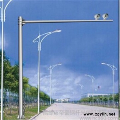 百色田东灯杆生产厂丨庭院灯杆必看