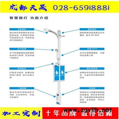 城市智慧景观灯定制|智慧路灯生产厂家|成都天晟 城市智慧景观灯生产