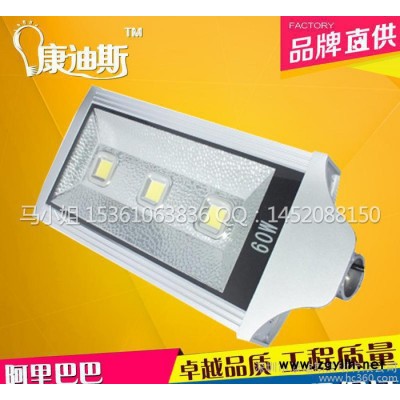 LED大功率路灯户外灯高杆道路灯30W40W60W80W挑臂