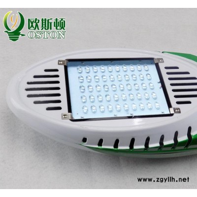 LED路灯头户外防水IP65挑臂高杆新农村道路灯30W40W