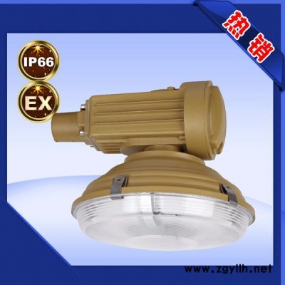 供应SBD1120免维护节能防爆道路灯  ** 证书齐全 规格齐全