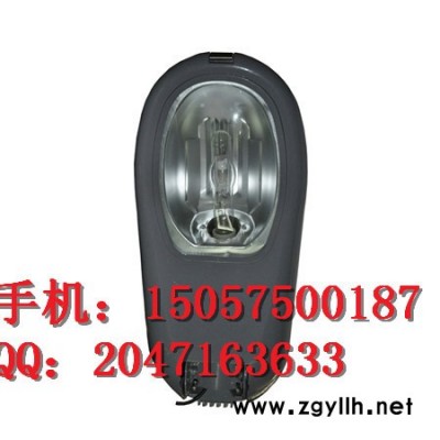 供应标普电器ZY8720ZY8720高效节能道路灯400
