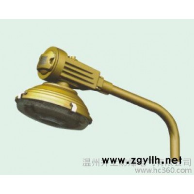 SBR1120免维护节能防爆道路灯防爆马路灯150瓦无极灯1