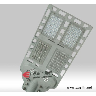 恩东照明 LED路灯 户外灯道路灯 公路 桥梁 照明 112