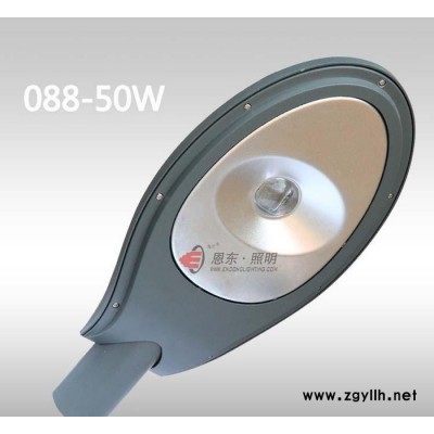 恩东照明 LED路灯 户外灯道路灯 公路 桥梁 照明 50W