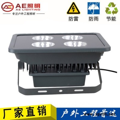 AE照明AE-TGD-01户外亮化,遂道灯,球场灯,庭院灯,厂房灯AE照明led隧道灯70w80w100w120w150