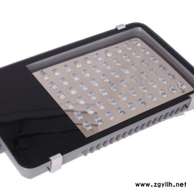 户外路灯LED庭院灯 公路公园 路灯 小金豆路灯、牙刷路灯